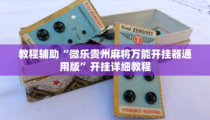 实测辅助”七彩佬腌菜挂怎么安装”开挂详细教程