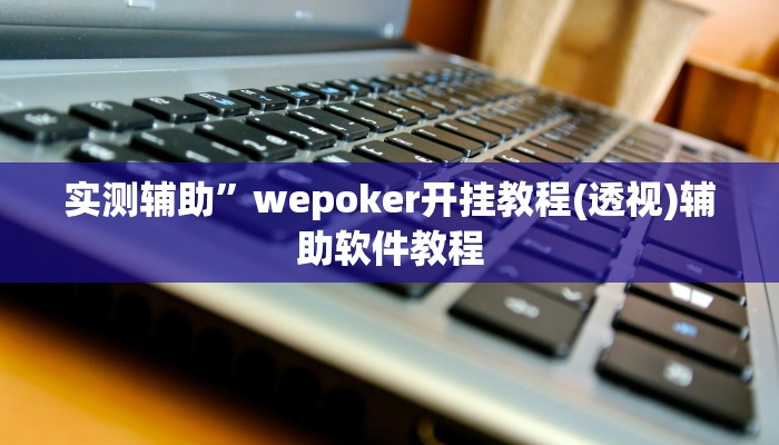 实测辅助”wepoker开挂教程(透视)辅助软件教程