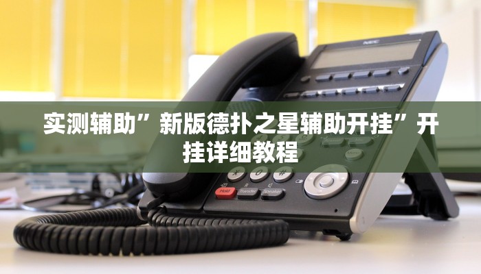 实测辅助”新版德扑之星辅助开挂”开挂详细教程
