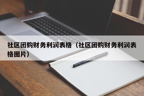 社区团购财务利润表格（社区团购财务利润表格图片）