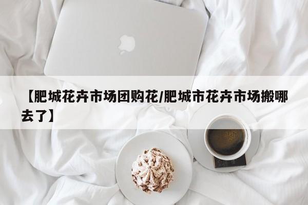 【肥城花卉市场团购花/肥城市花卉市场搬哪去了】