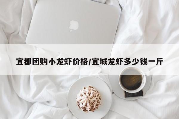 宜都团购小龙虾价格/宜城龙虾多少钱一斤