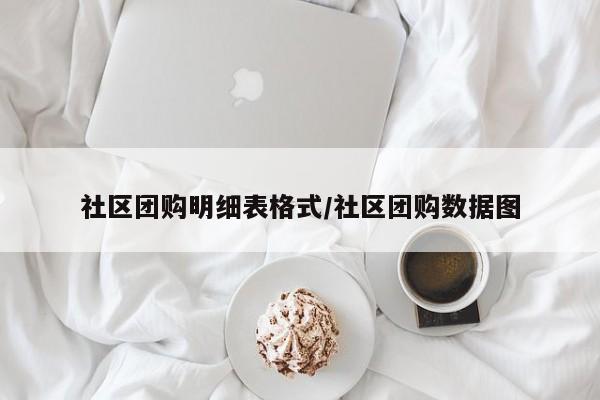 社区团购明细表格式/社区团购数据图