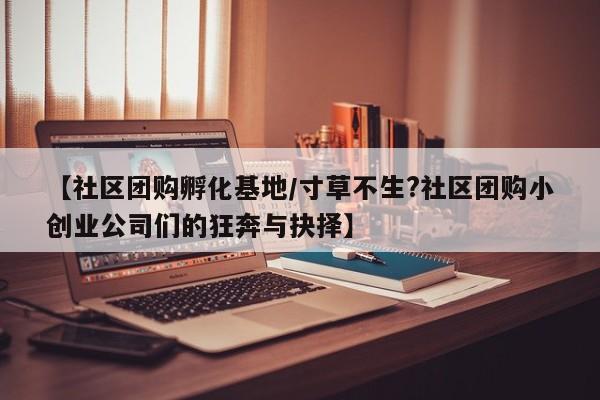 【社区团购孵化基地/寸草不生?社区团购小创业公司们的狂奔与抉择】